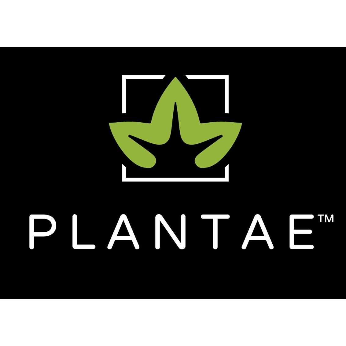 Plantae